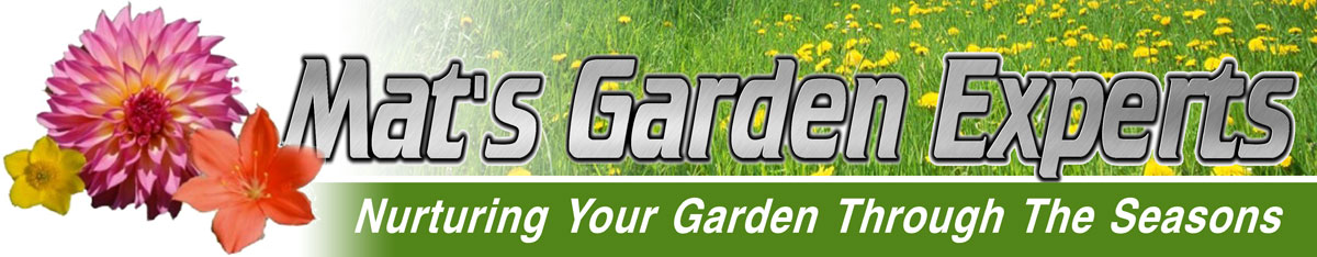 Your local gardener for Pinner, Harrow & Bushey